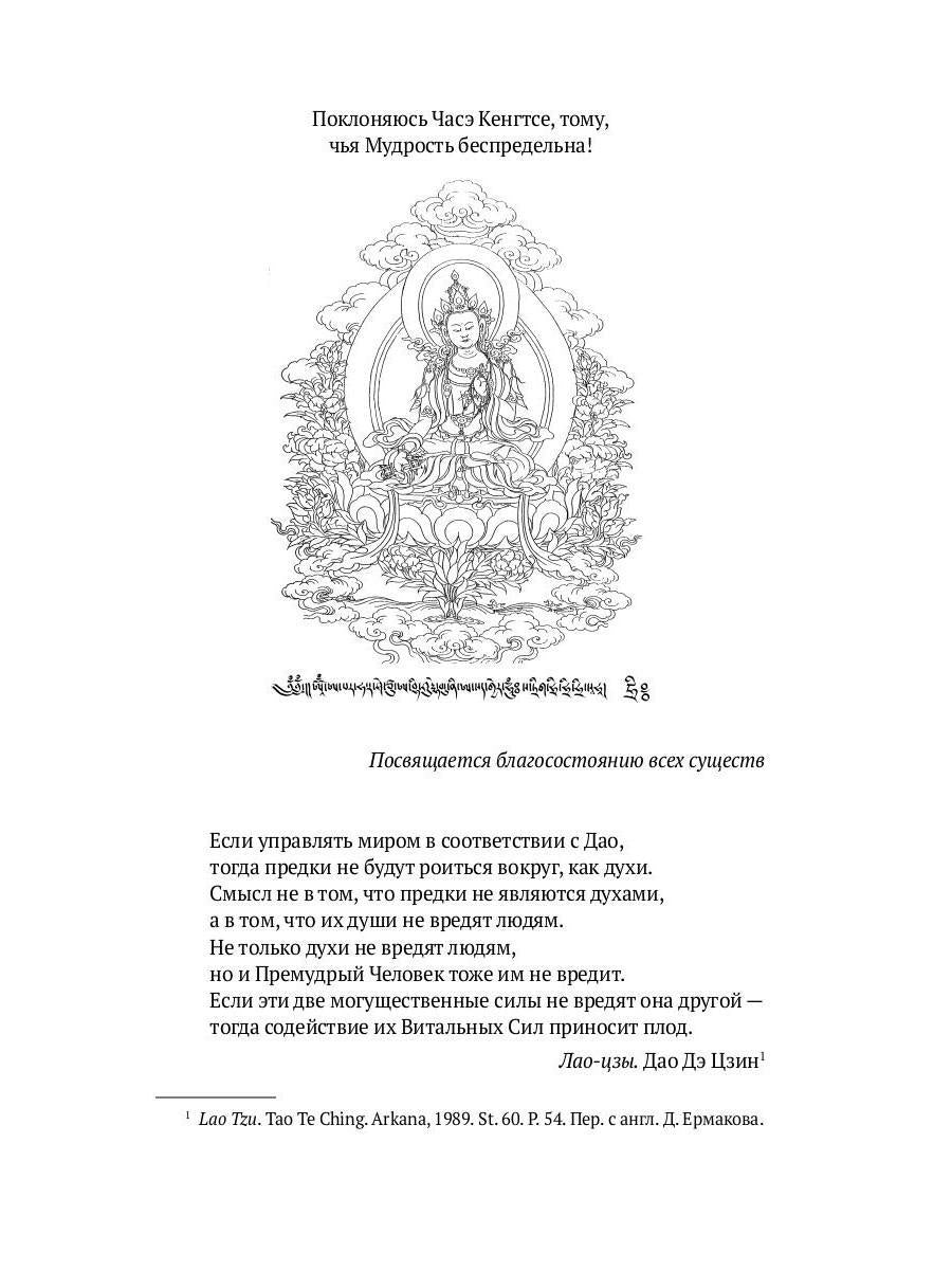 Боо и Бон. Древние шаманские традиции Сибири и Тибета в их отношении к учениям центральноазиатского будды. В 2 кн. Кн. 1