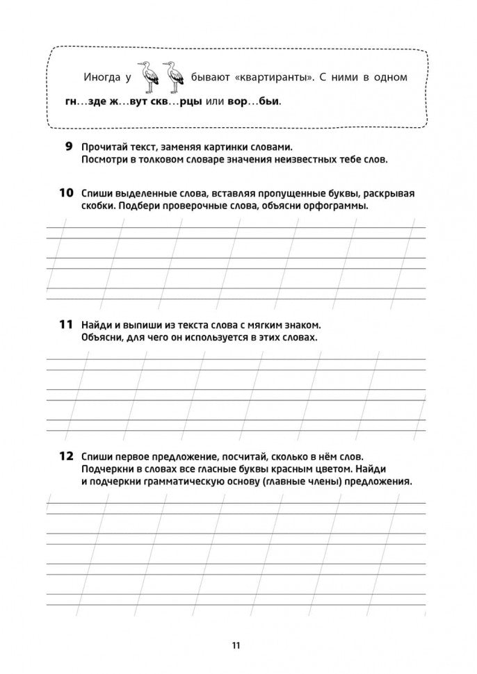 Логоментальные прописи и тренажеры для начальной школы. Птицы: 2-4 класс