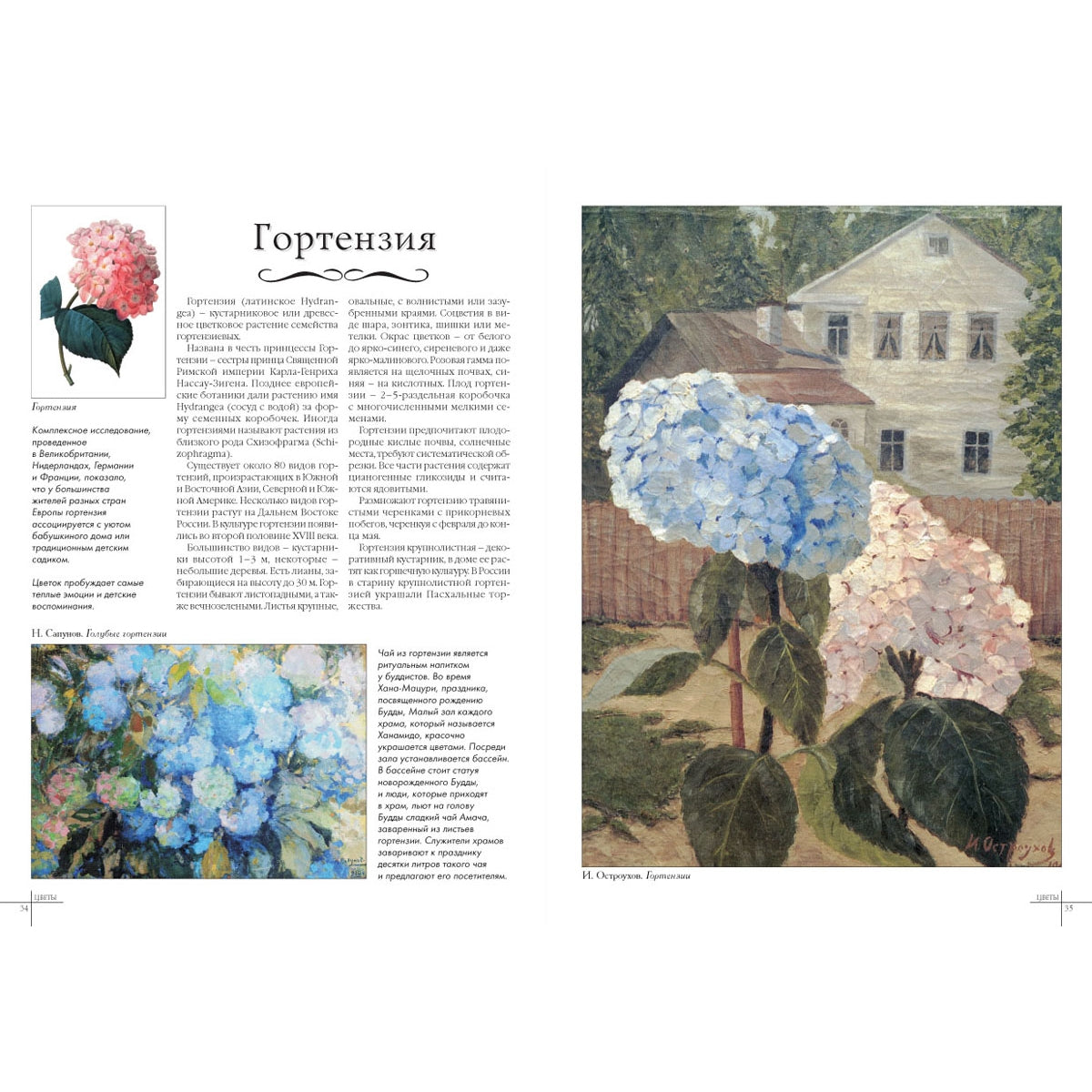 Цветы