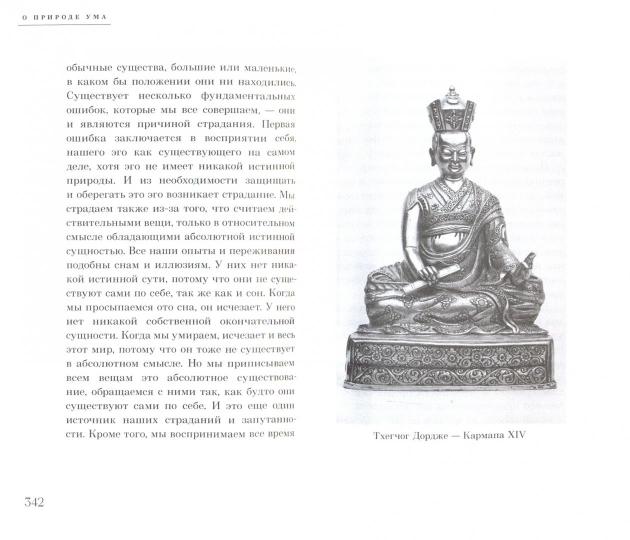 Многогранный буддизм. Том 4. Эмоции, смерть, перерождение, постижение