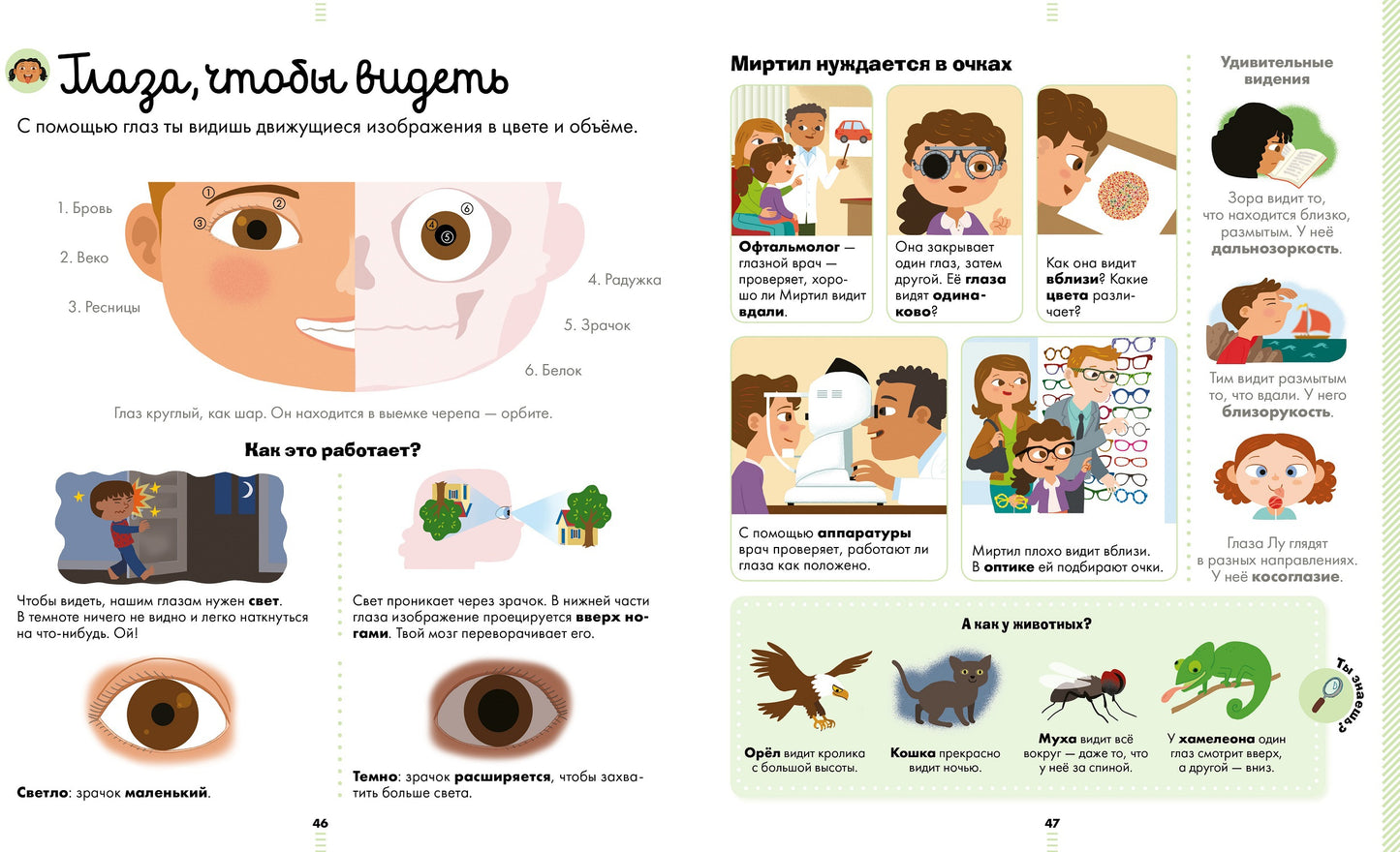 МВМ. Encyclopédie des cartes. Большая энциклопедия. Telo человека