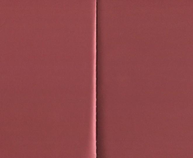 Ежедневник недат.НАППА СТАЛЬНОЙ+БОРДО,47467