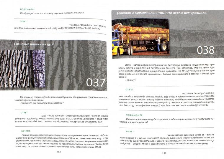 Необычное в обычном: 50 креативных решений. Гин А.