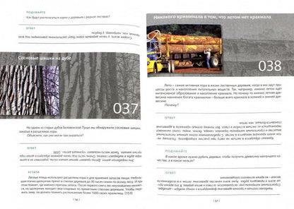 Необычное в обычном: 50 креативных решений. Гин А.