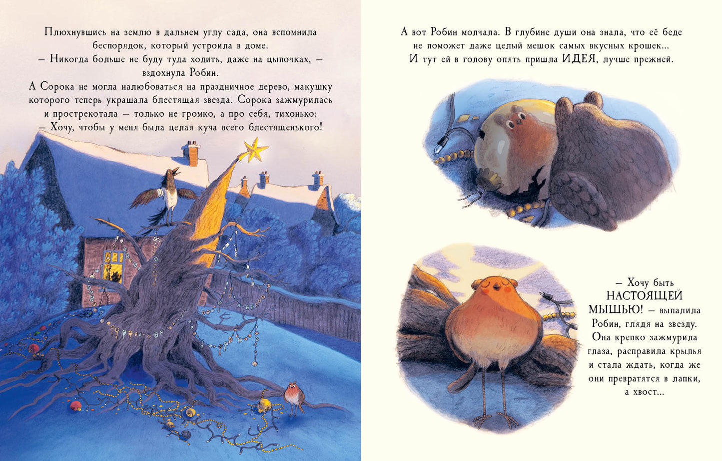 Робин : [сказка] / Д. Оджари и М. Plis ; par. с англ. ; IL. Б. M. Merci. —M. : Нигма, 2021. — 28 с. : IL.