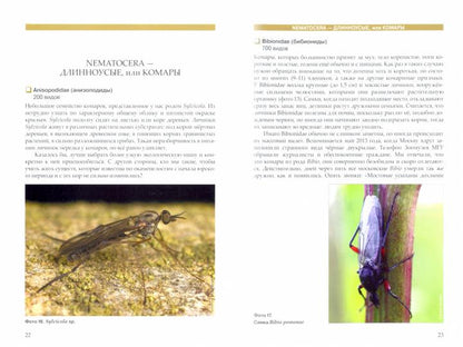 Рассказы о двухкрылых с обзором основных семейств отряда