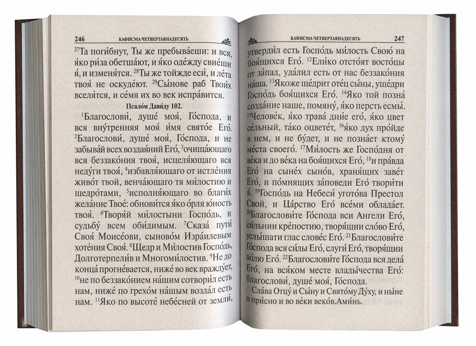 Псалтирь Панихида и молитвы по усопшим. Сост. Протоиерий Владимир Чугунов