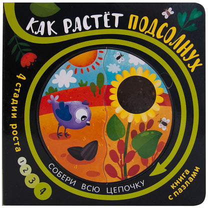 Собери цепочку. Как растет подсолнух