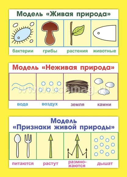 ФГОС ДО Развитие экологической культуры детей 5-8 лет. Комплект Мир животных. Образовательная область "Познавательное развитие". (32 цветные односторонние иллюстрации, 8 черно-белых двухсторонних карт, формат А4)