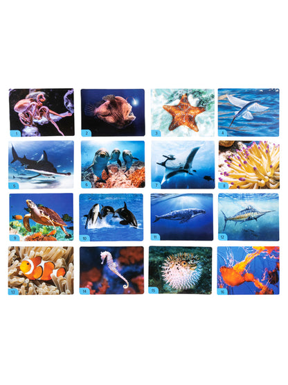 Игра настольная МЕМО "Водный мир" (32 cartes)