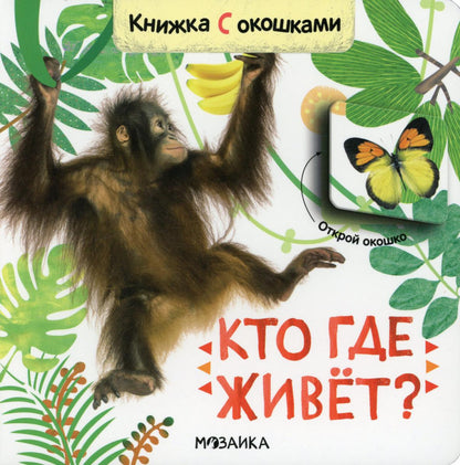 Книжки с окошками. Qu'est-ce que tu veux?