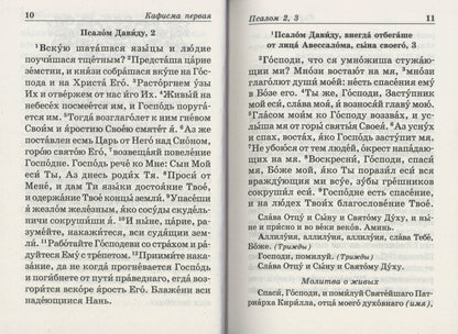 Псалтирь Пророка и царя Давида с пояснениями (зел)