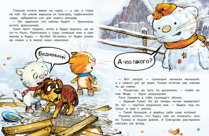 Зенюк. Шевчук. Снежный гость