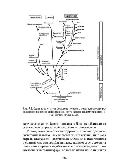 Квант мироздания: Квантовая физика и биоэнергетика живых организмов