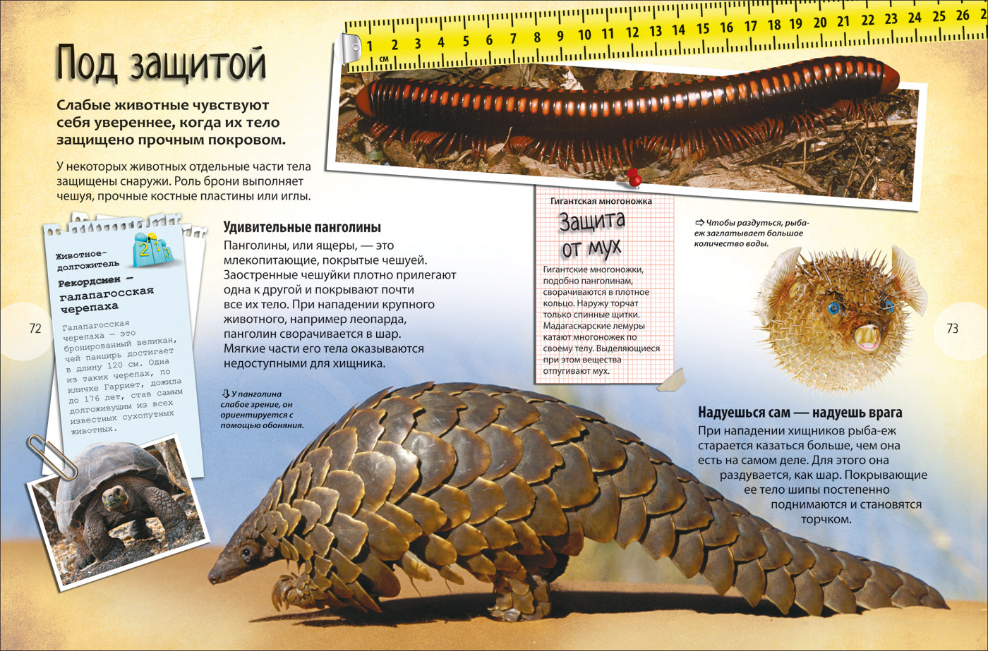 Животные. Facteurs encyclopédiques