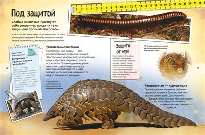 Животные. Facteurs encyclopédiques