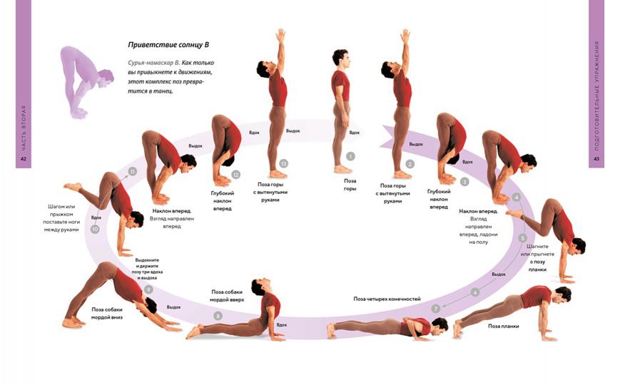 Библия йоги. Полное руководство для улучшения самочувствия, поддержания физической формы, гармонии души и тела