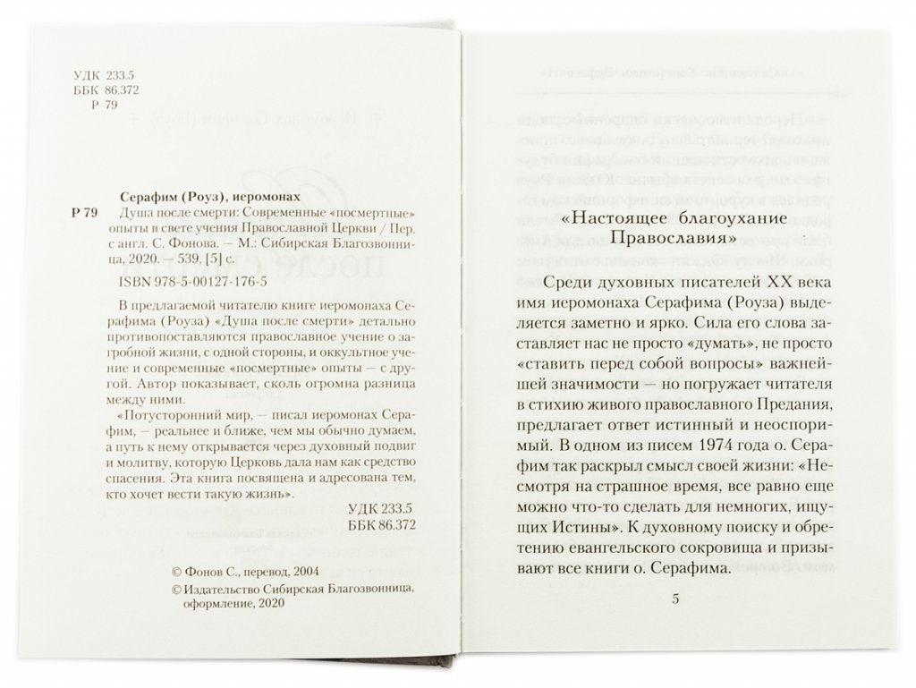 Душа после смерти. Современные "посмертные" опыты в свете учения Православной Церкви