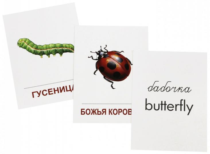 Démonstration de cartes СУПЕР Насекомые.16 раздаточных карточек с текстом