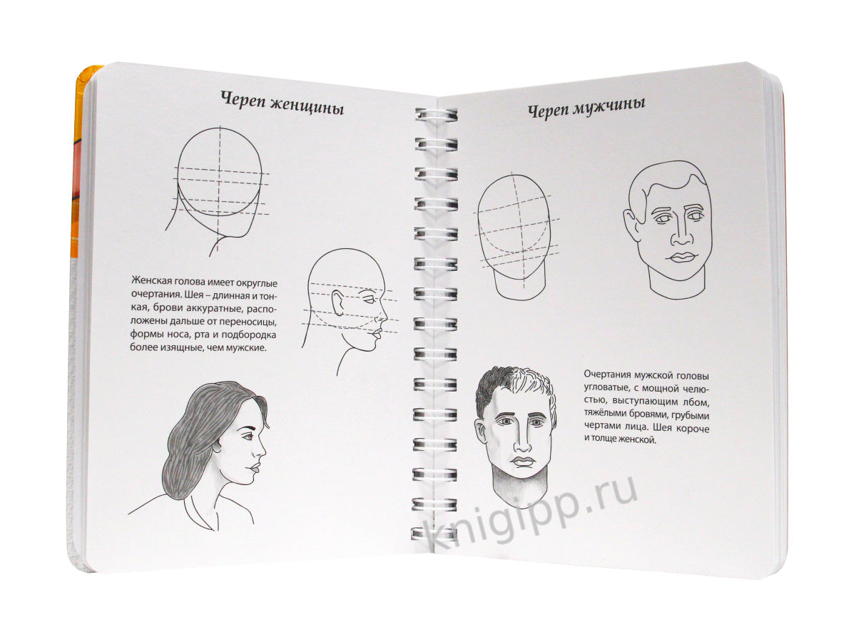 СКЕТЧБУК А5 УРОКИ РИСОВАНИЯ ПО ШАГАМ. АНАТОМИЯ ЧЕЛОВЕКА
