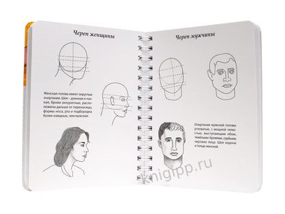 СКЕТЧБУК А5 УРОКИ РИСОВАНИЯ ПО ШАГАМ. АНАТОМИЯ ЧЕЛОВЕКА