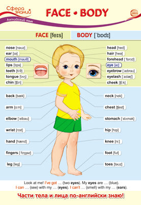 ПО-13438 Plaque A3. Английский язык в начальной школе. Affronter. Corps (Лицо. Тело)