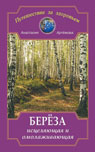 Берёза исцеляющая и омолаживающая