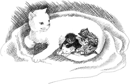 Котёнок Усатик, или Отважное сердце = Le chaton dont personne ne voulait