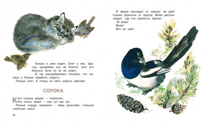 Друзья