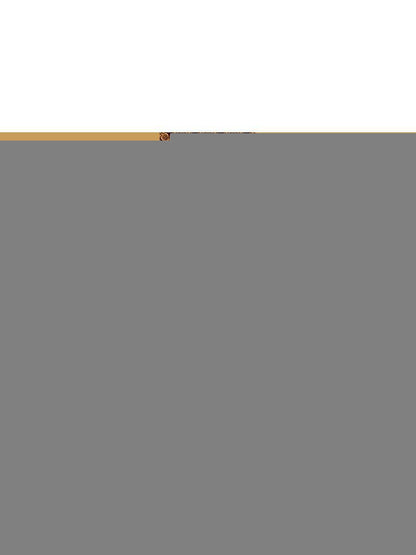 Великие посвященные. Очерк эзотеризма RELIGий. Т. 2 (Орфей, Пифагор, Платон, Иисус)