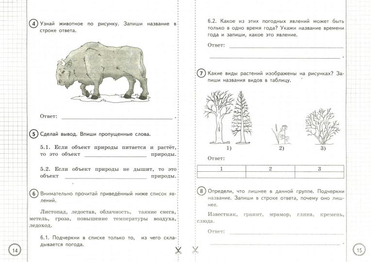 Окружающий мир. 2 класс. Практикум по выполнению типовых заданий. Всероссийская проверочная работа