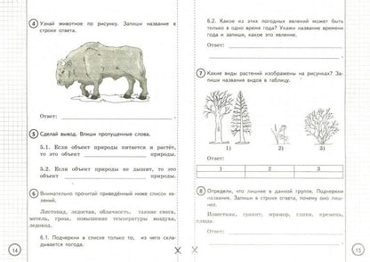 Окружающий мир. 2 класс. Практикум по выполнению типовых заданий. Всероссийская проверочная работа
