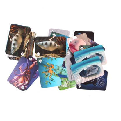 Мемо "Подводный мир" арт.8032 (50 карточек) /48