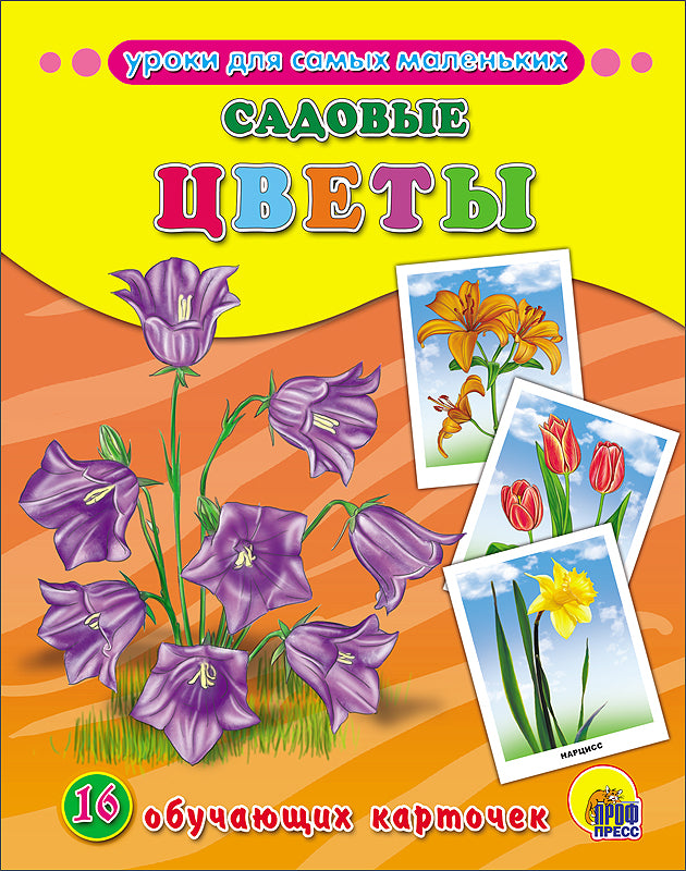 ОБУЧАЮЩИЕ КАРТОЧКИ. САДОВЫЕ ЦВЕТЫ