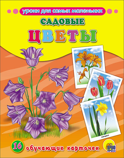 ОБУЧАЮЩИЕ КАРТОЧКИ. САДОВЫЕ ЦВЕТЫ