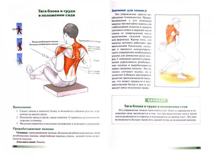Анатомия тенниса