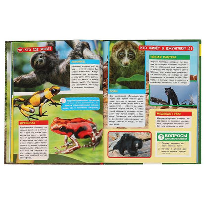 Кто где живёт. Энциклопедия А4 с вырубкой на обложке. 197х255мм, 48стр., тв.переплет. Умка в кор15шт