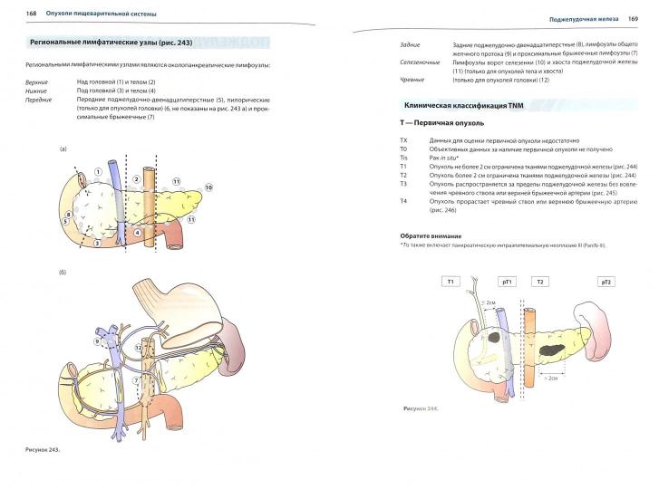 TNM Atlas. Иллюстрированное руководство по TNM классификации злокачественных новообразований. Виттекинд Ч.