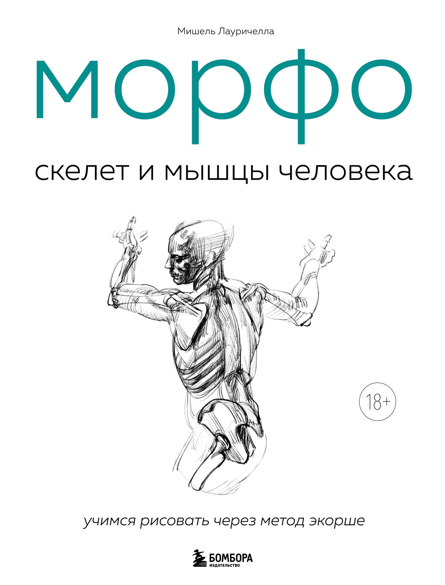 МОРФО. Le squelette et la viande en peluche. Anatomie des chiens
