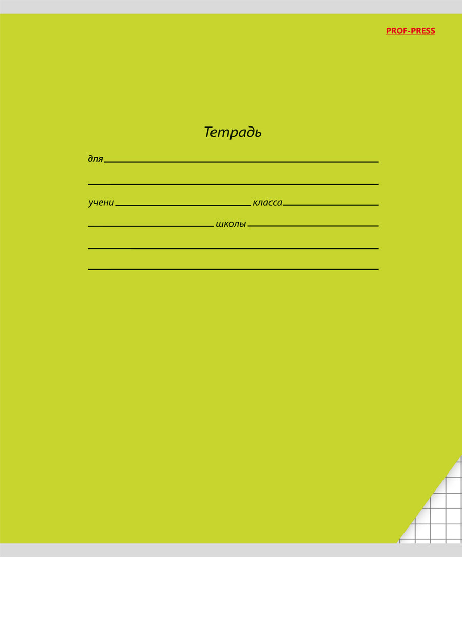 Тетрадь 18л. клетка КЛАССИКА (цвет.мелов.обл.)