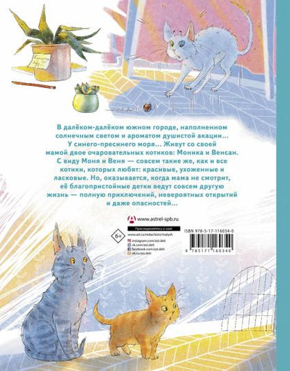 Моня и Веня: котики, которых любят