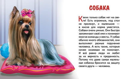 Cartes. Домашние любимцы ; Cartes. Les lubrifiants domestiques