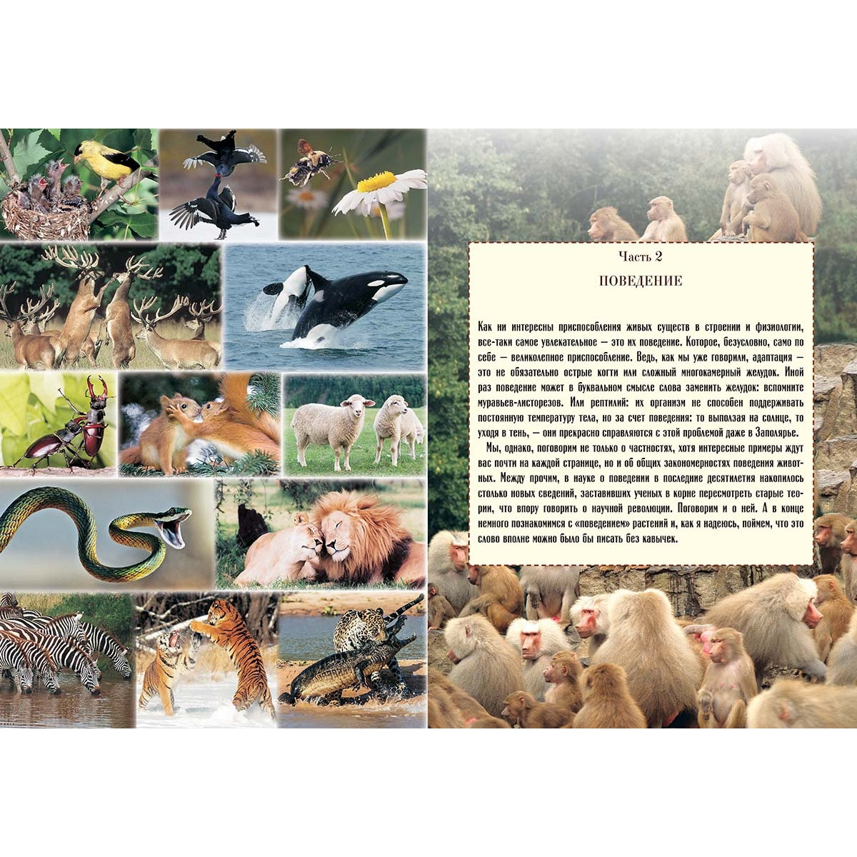 La biologie avec les soins et la recherche
