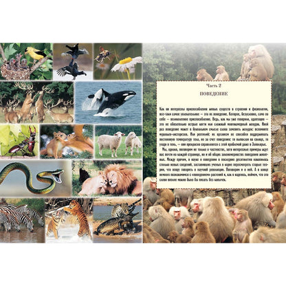 La biologie avec les soins et la recherche