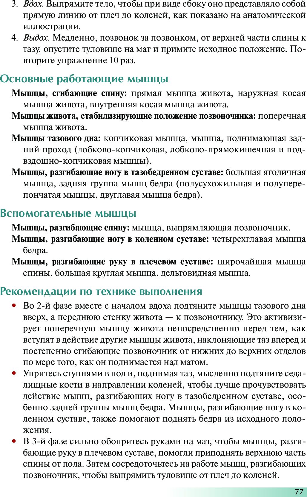 Анатомия пилатеса