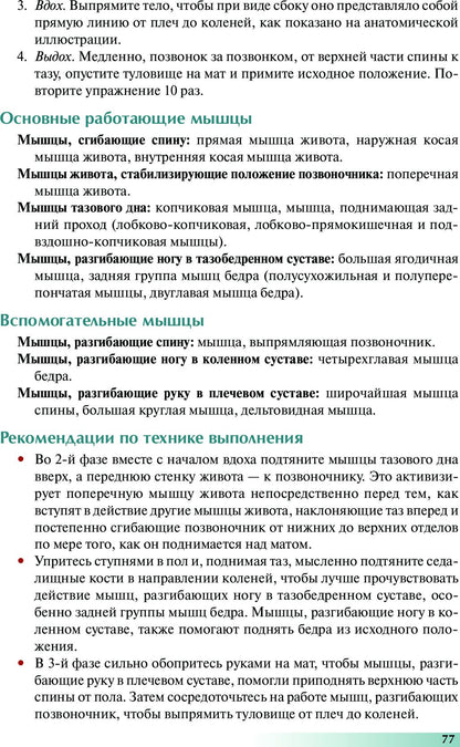 Анатомия пилатеса