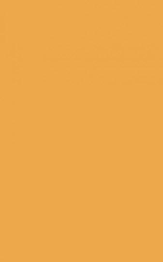 Блокнот 96л нелинованный Orange pages