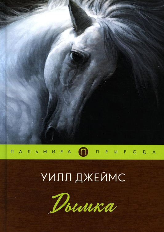 РипА.Природа.Дымка:повесть