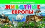 Карточки. Животные Европы ; Карточки. Животные Европы