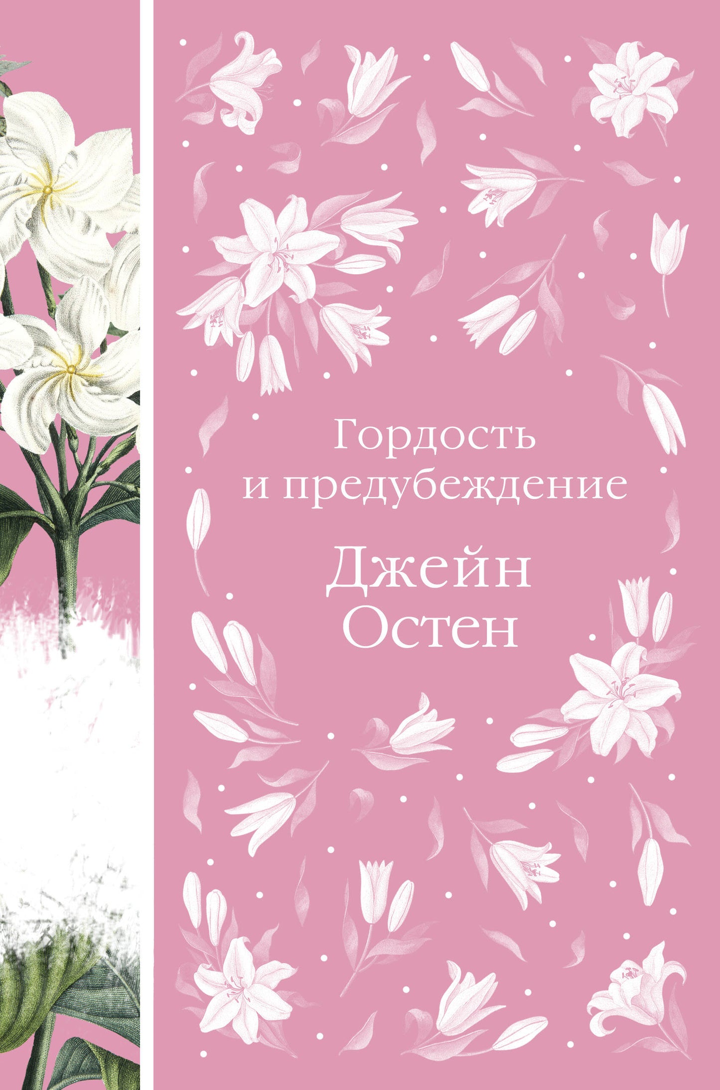 Метафорические карты и книга "Гордость и предубеждение" Джейн Остен